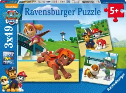 Ravensburger 3 Puzzles - Pat' Patrouille*Enfant Puzzles Pour Enfants|Dès 5 Ans : 31 À 49 Pièces