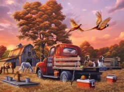 SunsOut À Quoi Bon?* Voitures, Motos Et Camions|Oiseaux