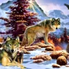 Bluebird Puzzle A New Dawn* Loups|De 1 000 Pièces