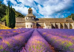 Nathan Abbaye Notre-Dame de Sénanque*Femme De 1 500 Pièces|De 1 500 Pièces