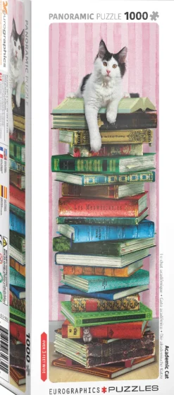 Eurographics Academic Cat* Panoramique|Chats