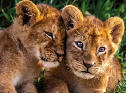 Nathan Adorable Lion Babies*Enfant À Partir De 9 Ans|Animaux Sauvages
