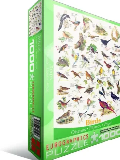 Eurographics Affiche sur les Oiseaux*Enfant Puzzles Pour Enfants|Oiseaux