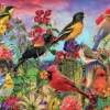 Bluebird Puzzle Aimee Stewart - Birds and Blooms Garden* Oiseaux|Forêts, Fleurs Et Jardins