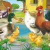 DToys Animaux de la ferme : poule, coq, canard, poussins et dindons*Enfant À Partir De 9 Ans|Animaux De La Ferme