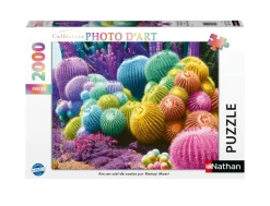 Nathan Arc-en-Ciel de Cactus* De 2 000 Pièces|De 2 000 Pièces