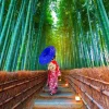 Enjoy Puzzle Asian Woman in Bamboo Forest*Femme Hommes Et Femmes|Forêts, Fleurs Et Jardins