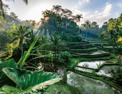 Nathan Au Coeur de Bali* De 2 000 Pièces|De 2 000 Pièces