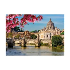 Dino Basilique Saint-Pierre*Femme Religions Et Mysticisme|Monuments