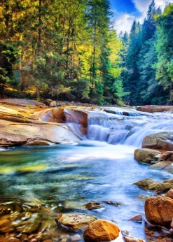 Grafika Belle Cascade dans la Forêt* Cascades|Forêts, Fleurs Et Jardins