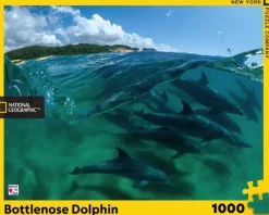 New York Puzzle Company Bottlenose Dolphins* Animaux Marins|De 1 000 Pièces