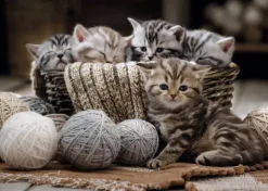 Nathan Boules de Poils et Pelotes de Laine* De 1 500 Pièces|De 1 500 Pièces