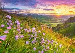 Castorland Campagne au Lever du Soleil*Femme Zen Et Bien Être|Soleil, Lune