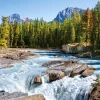 Castorland Canada, Parc National de Jasper : Rivière Athabasca* De 1 500 Pièces|De 1 500 Pièces
