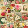 Eurographics Catalogue de Graines de Roses* Déco Et Objets|Collages