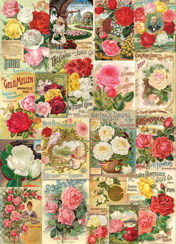 Eurographics Catalogue de Graines de Roses* Déco Et Objets|Collages