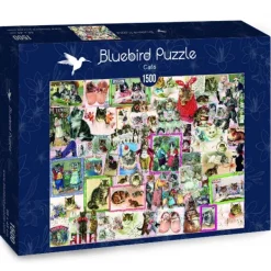 Bluebird Puzzle Cats* De 1 500 Pièces|De 1 500 Pièces