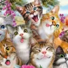 Schmidt Spiele Cats' Selfy*Femme Chats|Humour, Satire Et Wasgij