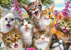 Schmidt Spiele Cats' Selfy*Femme Chats|Humour, Satire Et Wasgij
