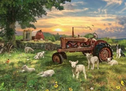 Cobble Hill Champ au Lever du Soleil* Tracteurs|Animaux De La Ferme