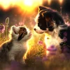 SunsOut Chat et Chien*Femme Chiens|Chats