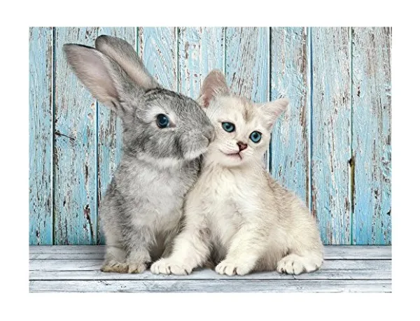 Clementoni Chat et Lapin* Chats|Animaux De La Forêt