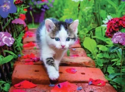 Nathan Chaton* Chats