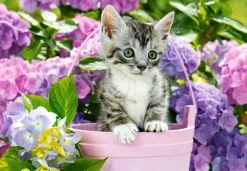 Castorland Chaton dans le Pot* De 1 500 Pièces|De 1 500 Pièces