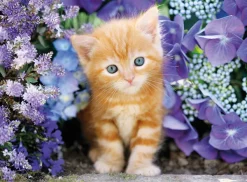 Clementoni Chaton dans les Fleurs* Chats