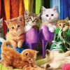 Eurographics Chatons* Chats|De 1 000 Pièces