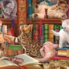 Eurographics Chatons de Bibliothéque* Chats|De 1 000 Pièces