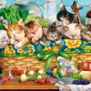 Castorland Chatons qui Font la Sieste*Femme Chats|Humour, Satire Et Wasgij