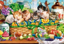 Castorland Chatons qui Font la Sieste*Femme Chats|Humour, Satire Et Wasgij