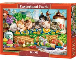 Castorland Chatons qui Font la Sieste*Femme Chats|Humour, Satire Et Wasgij