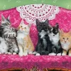Eurographics Chatons sur un Fauteuil* Panoramique|Chats