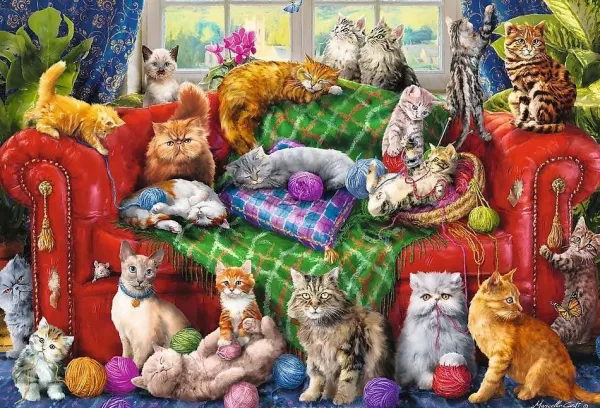 Trefl Chats sur le Sofa* De 1 500 Pièces|De 1 500 Pièces