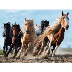 Trefl Chevaux* Chevaux|De 1 000 Pièces