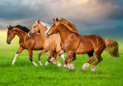 Castorland Chevaux en Ruée Vers le Printemps* Chevaux|De 500 À 999 Pièces