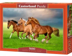 Castorland Chevaux en Ruée Vers le Printemps* Chevaux|De 500 À 999 Pièces