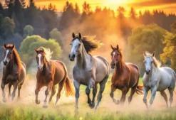 Trefl Chevaux Sauvages* De 1 500 Pièces|De 1 500 Pièces