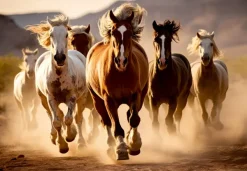 Roovi Chevaux Sauvages* Chevaux|De 1 000 Pièces