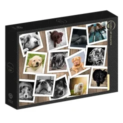 Grafika Chiens* Chiens|Collages