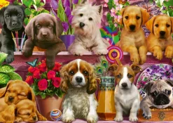 Schmidt Spiele Chiens sur l'Etagère* Chiens|De 500 À 999 Pièces