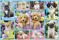 Schmidt Spiele Chiots*Enfant À Partir De 9 Ans|Chiens