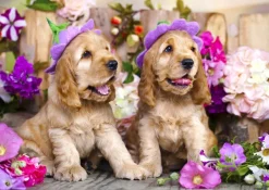 Enjoy Puzzle Chiots aux Chapeaux de Fleurs*Femme Chiens|Humour, Satire Et Wasgij