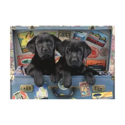 Dino Chiots dans un Coffre* Chiens|Rétros Et Nostalgie