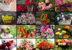 Grafika Kids Collage - Fleurs*Enfant Collages|Forêts, Fleurs Et Jardins