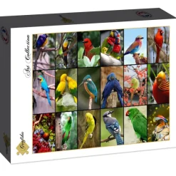 Grafika Collage - Oiseaux Colorés* De 1 500 Pièces|De 1 500 Pièces