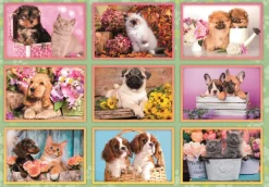 Clementoni Collage de Chiots*Enfant À Partir De 9 Ans|Chiens