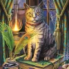 Trefl Collection Magic : Livre Des Ombres* Chats|Déco Et Objets